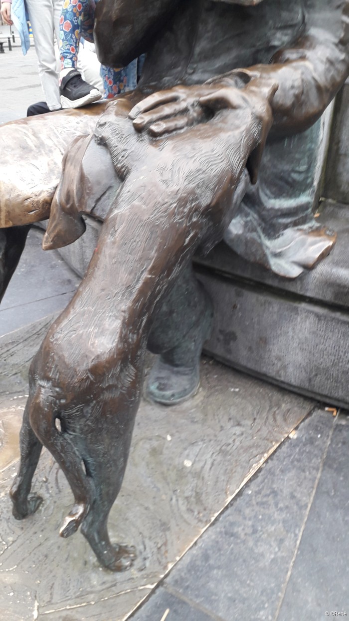 René.3